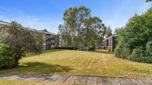 Communal Grounds- click for photo gallery